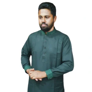 premium panjabi