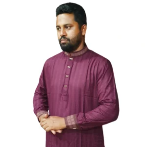 Embroidery Panjabi