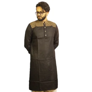 Embroidery Panjabi 2025